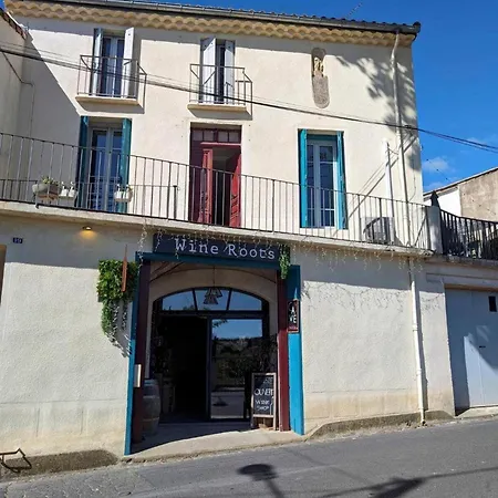 Wine Occitanie Отель типа 